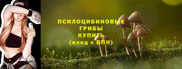 марки nbome Снежногорск
