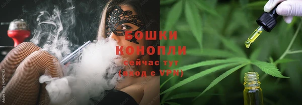 ешки Снежинск