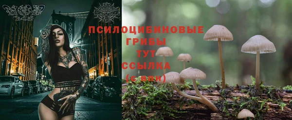 марки nbome Снежногорск